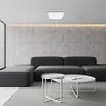 Miniatyrbillede 3 af 6: LED LOFTSLAMPE OVERFLADEMONTERET HVID 23 W