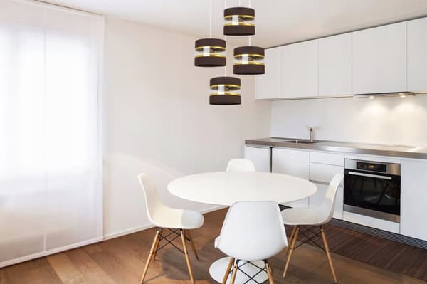 HÄNGA TAKSLAMPA LJUSKLUSTA LAMPSKÄRM MODERN