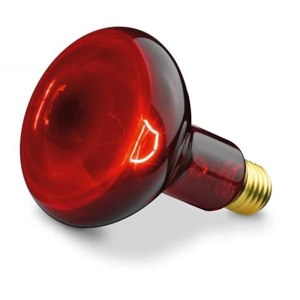 Infrarödslampa - BEURER - IL 11 - 100 watt - 5 lutningsnivåer - Unik design