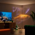 Miniatyrbillede 2 af 5: Shelly Wave PRO 1