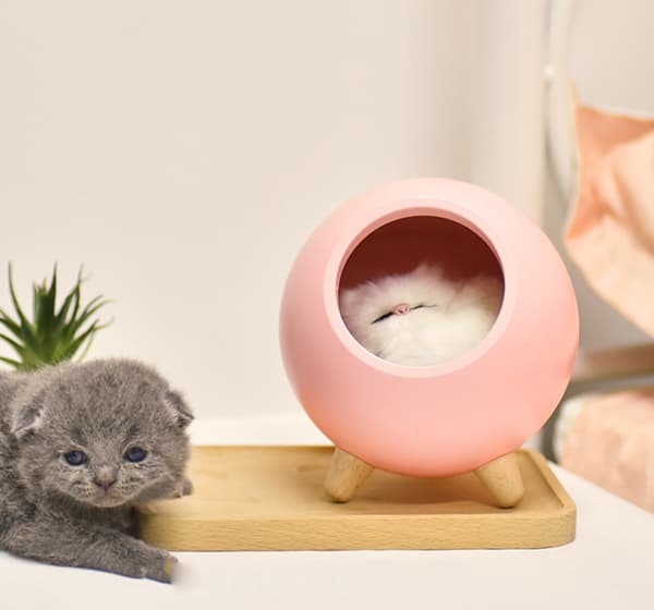 Söpö pieni yövalo lemmikkieläimille, USB-lataus, tunnelmalamppu, LED-yöpöytävalaisin lastenhuoneeseen