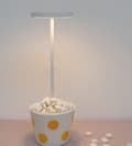 Miniatyrbillede 2 af 9: OBOSOE Bordlampe Trådløs / LED Lys / Skrivebordslampe