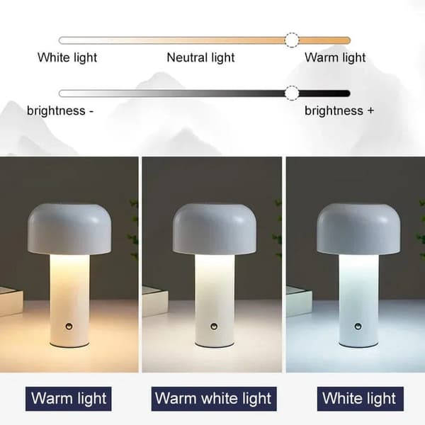 OBOSOE USB opladning skrivebord lampe / LED lampe / bordlampe