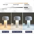 Miniatyrbillede 3 af 5: OBOSOE USB opladning skrivebord lampe / LED lampe / bordlampe