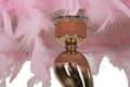 Miniatyrbild 2 av 6: FURNLUX BORDSLAMPA VAGN ROSA 25CM