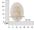 Miniatyrbild 6 av 6: FURNLUX VÄGGLAMPA PORTLAN GOLD 20CM
