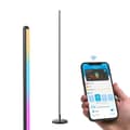 Miniatyrbild 5 av 5: Golvlampa Govee LED Floor Lamp Svart Multicolour 24 V (1 Delar)