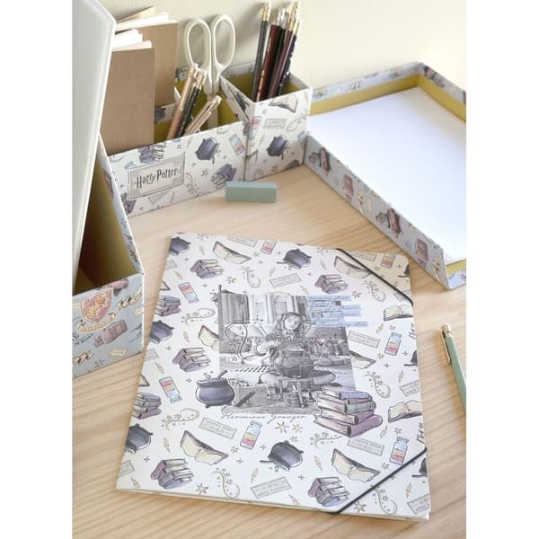 Harry Potter desk organiser