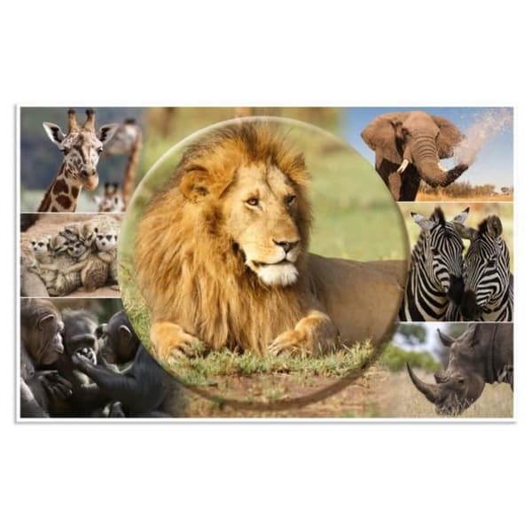 Skrivunderlag - HERMA - Afrika Djur - Färgglad - Kontorsskydd - Barndesign