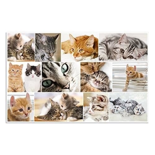 Underlägg antiskrid - HERMA - 19378 - 55x35 cm - Design tvåsides - Mönster hund och katt