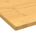 Miniatyrbillede 3 af 4: vidaXL bordplade til skrivebord 110x55x1,5 cm bambus
