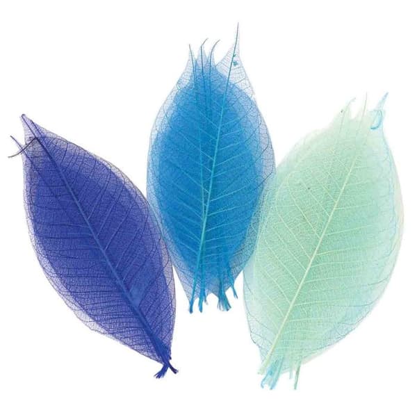 Bladskelett Assortiment Blå 8 cm 20 stycken