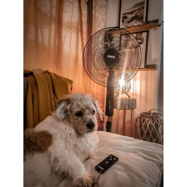 Fritstående ventilator N'oveen F455 Sort 55 W
