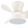 Miniatyrbillede 2 af 2: Loftsventilator CristalRecord MOLL RETRAC Gennemsigtig 20 W