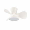 Miniatyrbillede 1 af 2: Loftsventilator CristalRecord MOLL RETRAC Gennemsigtig 20 W