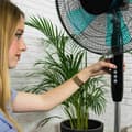 Miniatyrbillede 6 af 11: BRUGT Fritstående ventilator Cecotec Hvid 40 W (Refurbished B)