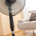 Miniatyrbillede 5 af 8: BRUGT Piedestalventilator med fjernbetjening InnovaGoods Sort 45 W (Refurbished A)
