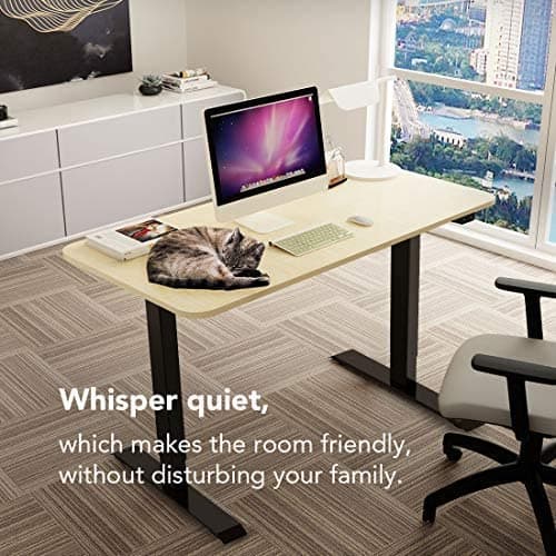 Electric Standing Desk/Ergonomic Height Adjustable Sit-Stand Workstation