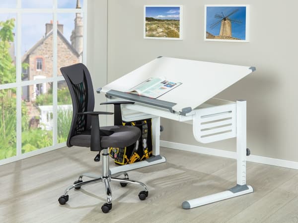 Skog  skrivbord med höj- och sänkbar skiva och 1 låda vit och grå.