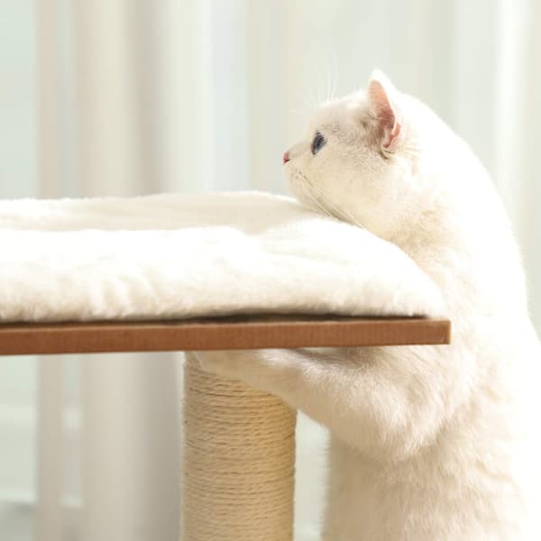 Katter som repar - kattträd med 3 solstolar och grottor - brunt
