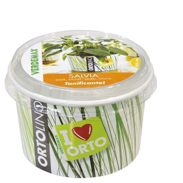 Ortolino Kit - VERDEMAX - Salvia - PP, kokosfiber - ø 11 cm x h cm 7