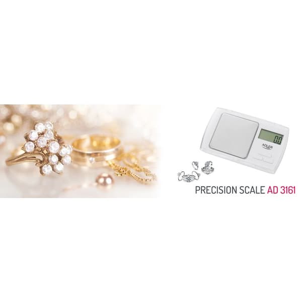 ADLER AD-3161 Precision Pocket Scale (500-0,01g) Liten matvåg, elektriska smyckesvågar, LCD-skärm i rostfritt stål.