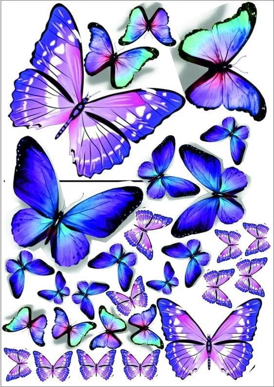 Vaffel til kage BUTTERFLIES BUTTERFLIES mix wz2