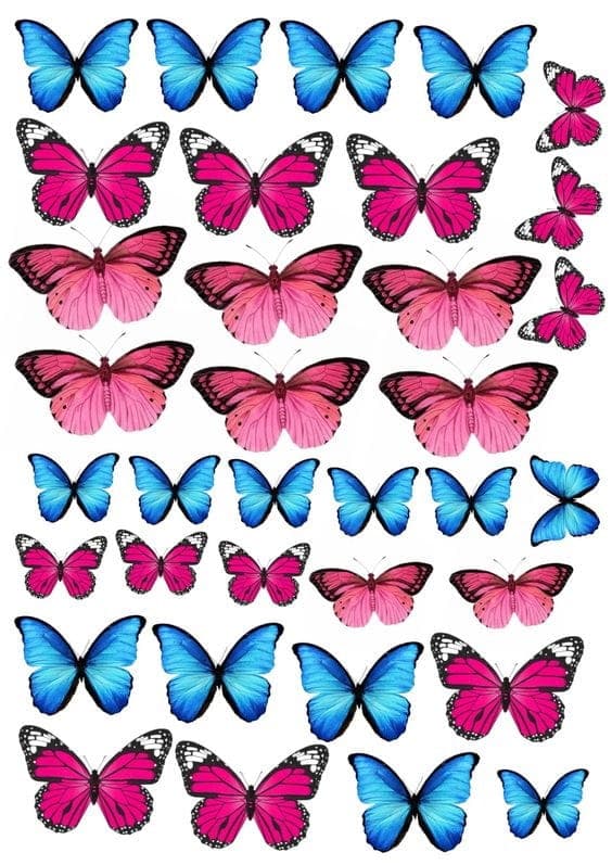 Vaffel til kage BUTTERFLIES BUTTERFLIES mix wz3