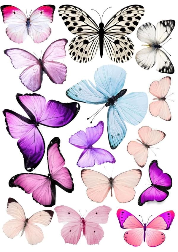 Kagevaffel BUTTERFLIES BUTTERFLIES mix wz4