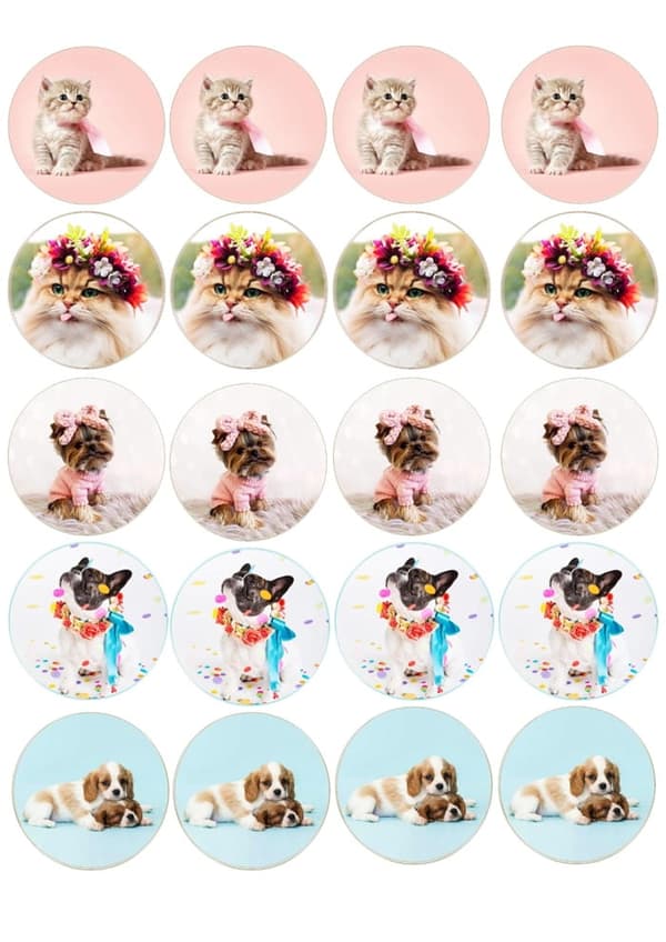 Muffin vaffelkager KAT HUND DYR / 20 stk.
