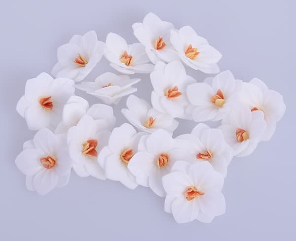 HORTENSIA wafer vita 18 st blommor för att dekorera tårtor och bakverk