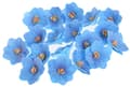 Miniatyrbild 2 av 2: HORTENSIA wafer berry 18 st blommor för att dekorera kakor och bakverk