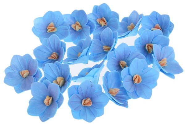 HORTENSIA wafer berry 18 st blommor för att dekorera kakor och bakverk