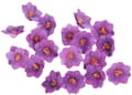 Miniatyrbild 2 av 2: HORTENSIA-vaffel lila 18 st blommor för att dekorera tårtor och bakverk