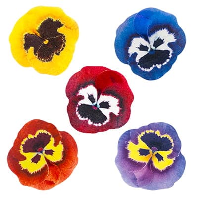 Penséer, waferblommor, 10 st, blandade färger