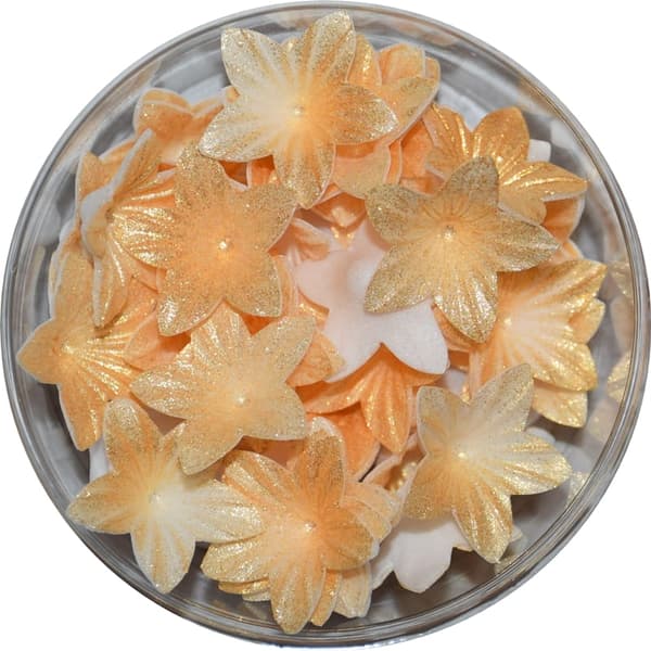Mini guld vaffelblomster 50 stk.
