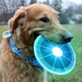 Miniatyrbild 2 av 4: TD® Frisbee LED Flying Disc - Ljusa flerfärgade skivleksaker Födelsedagspresent - Tillbehör för lek till husdjur