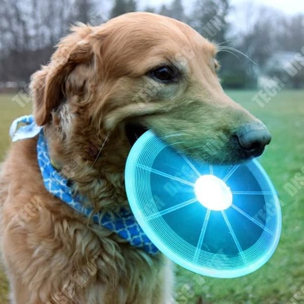 TD® Frisbee LED Flying Disc - Ljusa flerfärgade skivleksaker Födelsedagspresent - Tillbehör för lek till husdjur