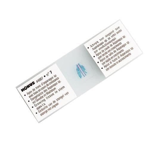 Konus Coffret med 25 förberedda blad - den mänskliga kroppen (25 st)
