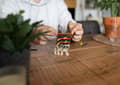 Miniatyrbild 4 av 4: Spelskicklighet Chinchilla - CC-4038-1