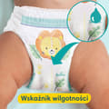 Miniatyrbillede 2 af 9: Pampers Bukser Drenge/Pige 6 84 stk.