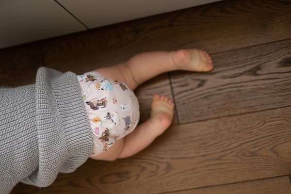 Blöja med pocket OS enkelknäppta HUNDAR