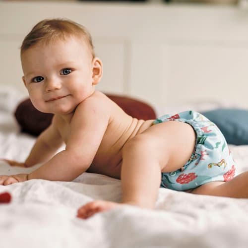 Ble med lomme SEAHORSE 5-15kg - velcro