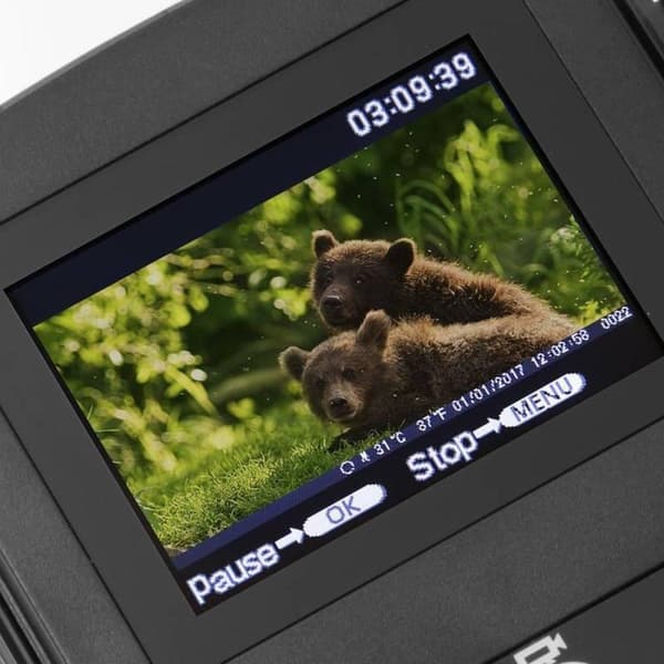 Technaxx TX-69 trådlös viltkamera FullHD 1920 x 1080 med mörkerseende och rörelsesensor, säkerhetskamera