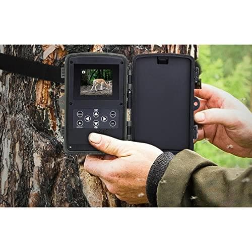 Braun fotofälla/vildlivskamera Scouting Cam BLACK550, 24 MP, IP65, 940 nm