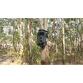 Miniatyrbillede 2 af 5: Braun Scouting Cam Black1300 Wifi (57657)