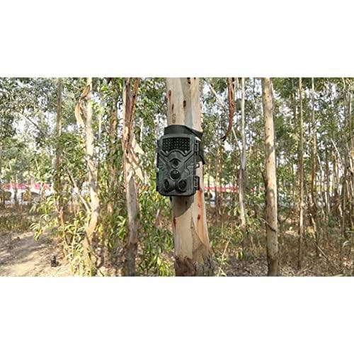 Braun Scouting Cam Black1300 Wifi (57657)