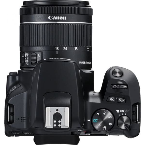 PHOTO CAMERA CANON 250D+18-55 IS STM KIT Sort