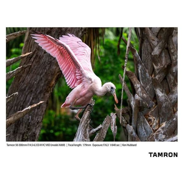 Tamron för hybrid zoomobjektiv 50-300 mm f/4.5-6.3 di III vxd kompatibel med Sony FE
