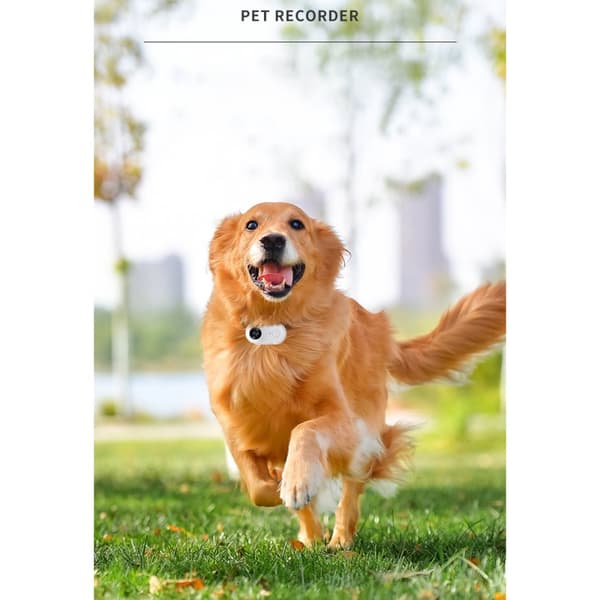 INF Sports Action Camera Pet Camera Sort